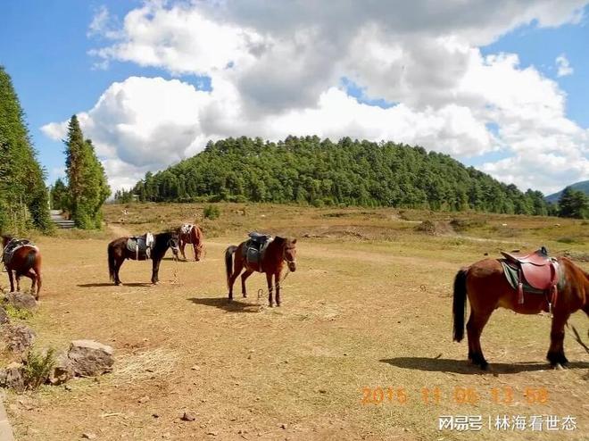地质公园：看坑被坑坑17观演出 看翡翠AYX爱游戏【云南漫记】15火山国家(图3)